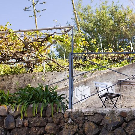 Ek Las Vistas Finca El Milagro La Orotava Eksteriør billede