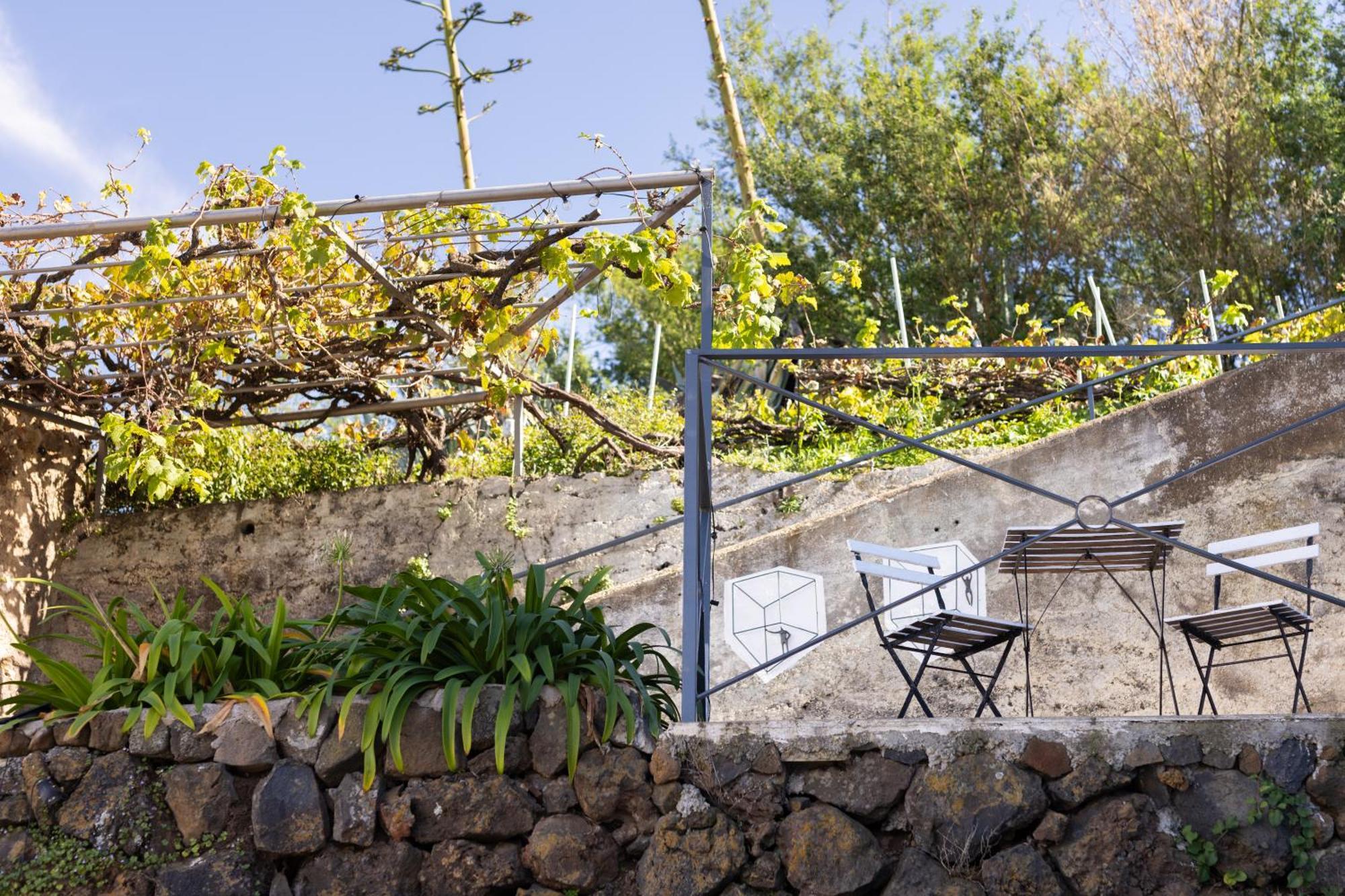 Ek Las Vistas Finca El Milagro La Orotava Eksteriør billede