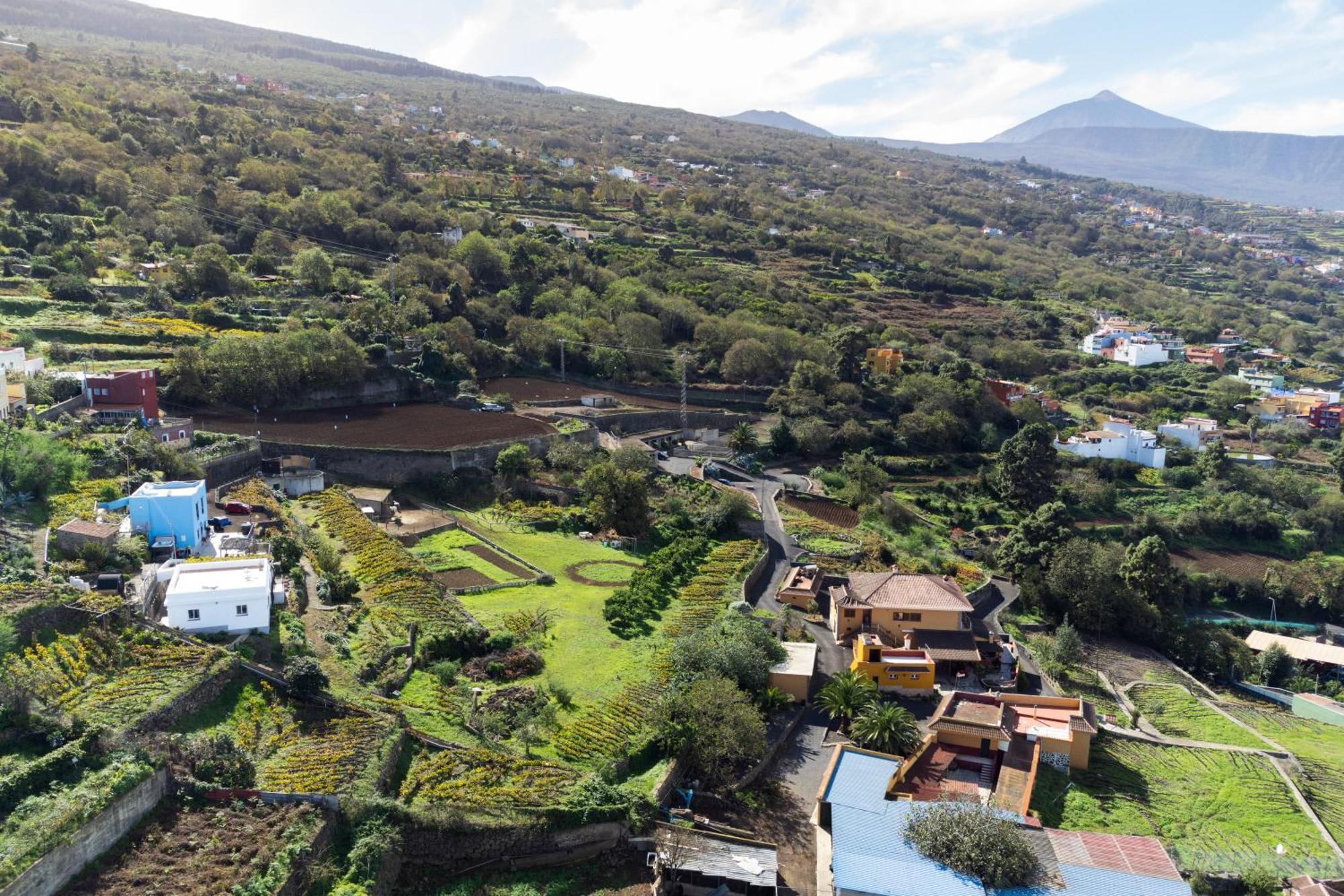 Ek Las Vistas Finca El Milagro La Orotava Eksteriør billede