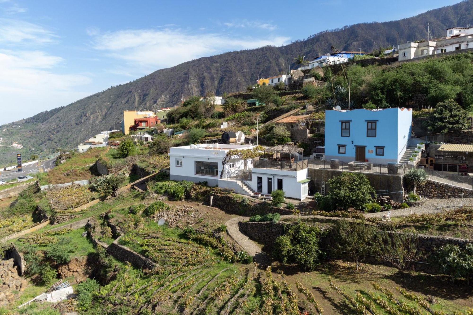 Ek Las Vistas Finca El Milagro La Orotava Eksteriør billede