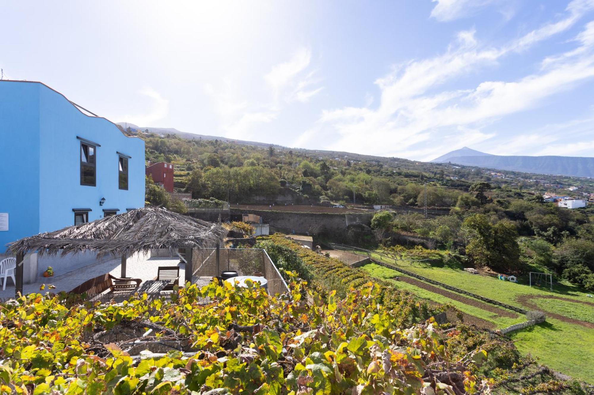 Ek Las Vistas Finca El Milagro La Orotava Eksteriør billede