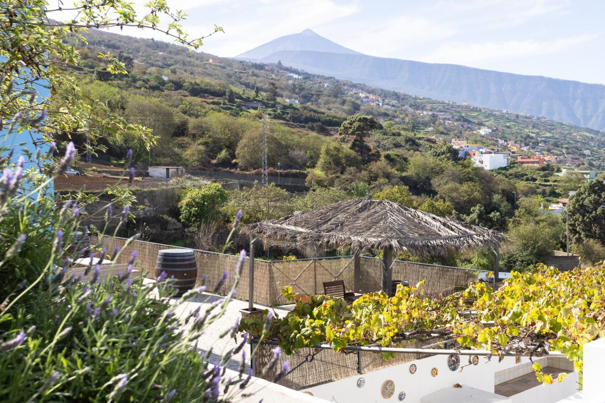 Ek Las Vistas Finca El Milagro La Orotava Eksteriør billede